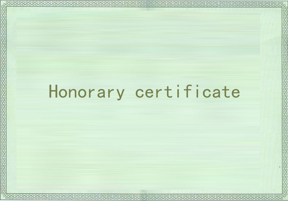 Honor V